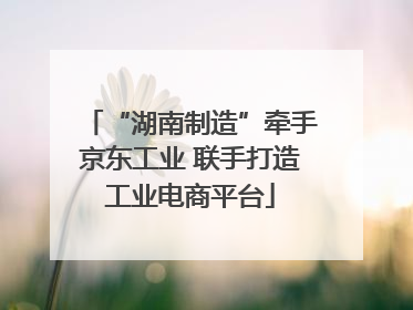 “湖南制造”牵手京东工业 联手打造工业电商平台